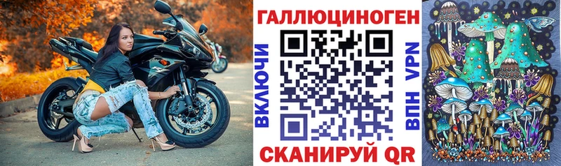 Галлюциногенные грибы Magic Shrooms  Нефтекумск 